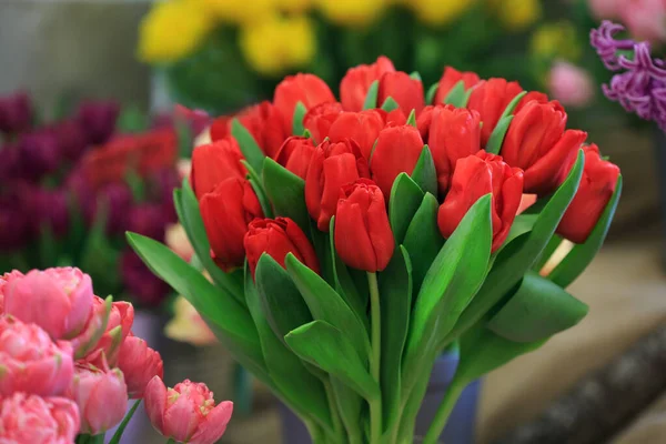 Multi-colored tulips in the window of a flower shop.