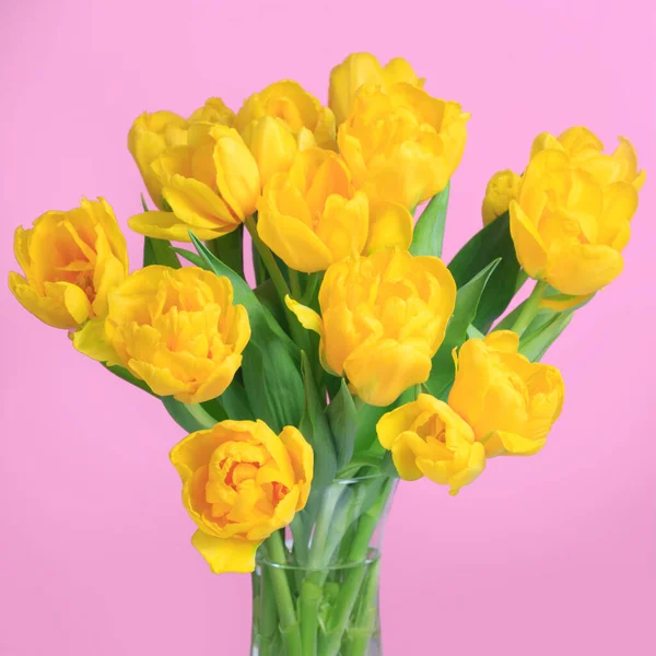 Strauß Gelber Tulpen Auf Rosa Hintergrund — Stockfoto