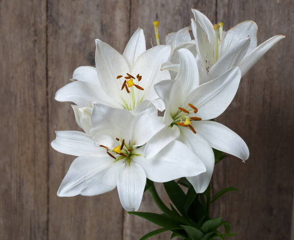 Bouquet of white lilies on a textural background of an old wood.
