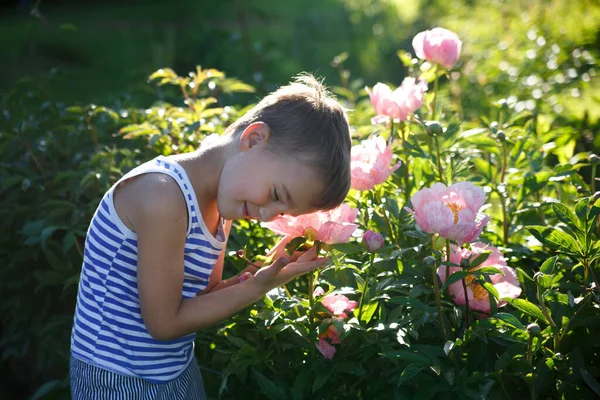 Een Kleine Jongen Een Zomeravond Een Tuin Tussen Pioenrozen — Stockfoto