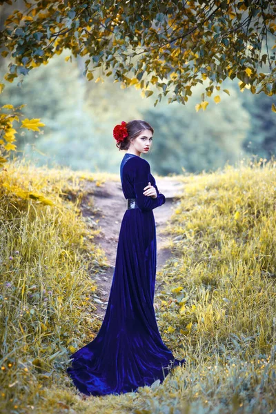 Gyönyörű Lány Hosszú Kék Ruhában Egy Erdei Ösvényen — Stock Fotó