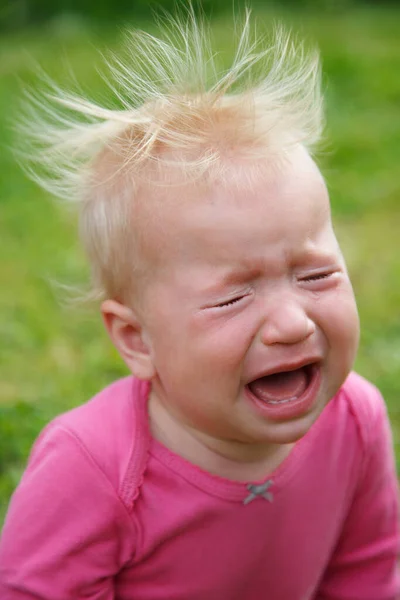 Portret Małej Płaczącej Dziewczynki Wietrznymi Włosami Tle Trawy — Zdjęcie stockowe