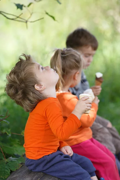 Kilka Małych Zabawnych Dzieci Kolorowe Ubrania Jedzą Lody Zewnątrz Wsi — Zdjęcie stockowe