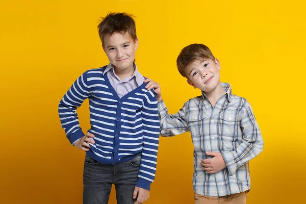 Två Roliga Små Glada Pojkar Står Sida Vid Sida Lutar — Stockfoto