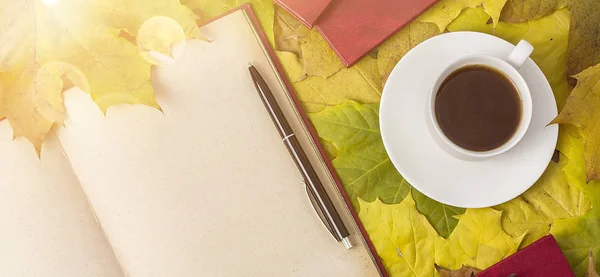 Чай с осенними красящими листьями . — стоковое фото