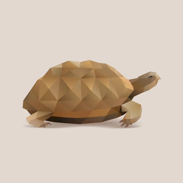 Polygonale Schildkröte Schildkrötenvektorillustration — Stockvektor