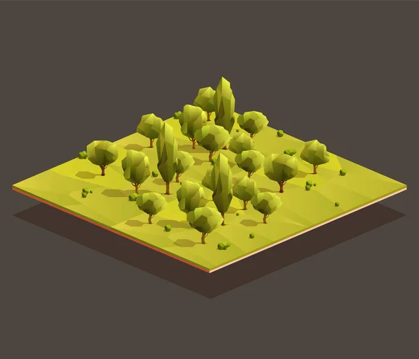 Isometric Woods Area Low Poly Vector Illustration — Stock Vector