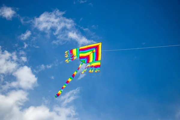 Kite tegen de blauwe hemel Bulgarije Varna 18 08 2019 — Stockfoto