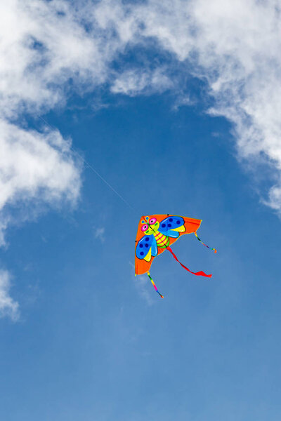kite against the blue sky Bulgaria Varna 18 08 2019