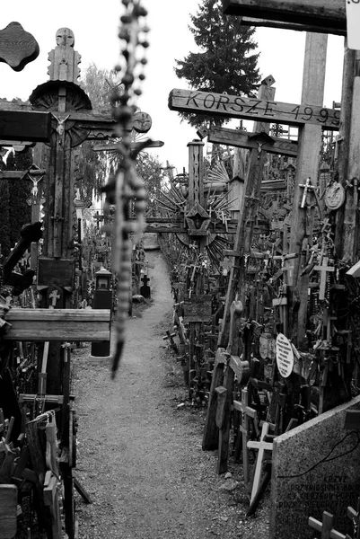 Viele Kreuze auf Friedhof — Stockfoto