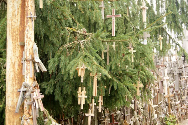Viele Kreuze auf Friedhof — Stockfoto