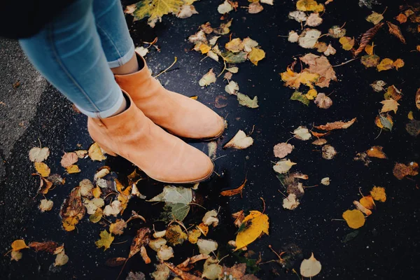 Autumn shoes on autumn background