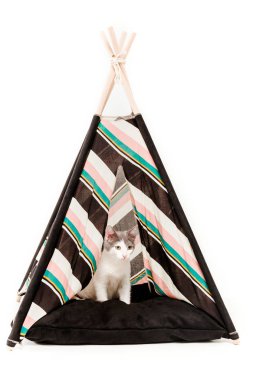 cat in wigwam in front of white background clipart