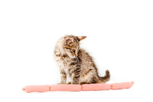Gato Com Salsichas Frente Fundo Branco — Fotografia de Stock