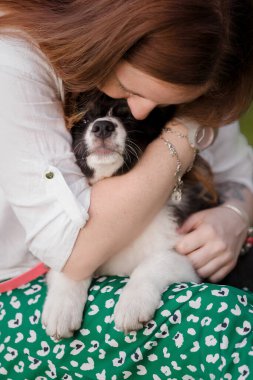 Sahibi olan küçük köpek bir gününü parkta oyun oynayarak ve eğlenerek geçiriyor.