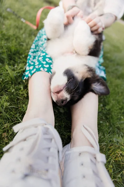 Kadın Sevimli Siyah Beyaz Köpek Yavrusu — Stok fotoğraf