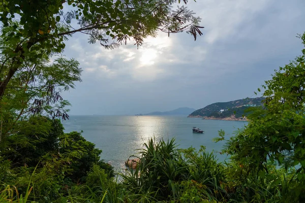 Paesaggio marino con foresta e cielo — Foto Stock