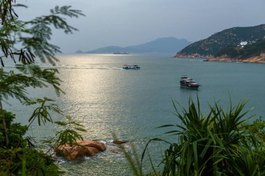 Orman ile defne deniz gemi