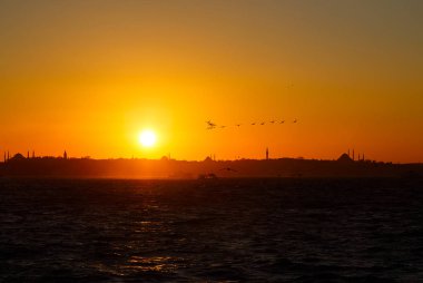 Deniz ve martı ile Istanbul'da günbatımı