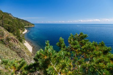 Baykal Gölü manzaralı bir çam ve tekne