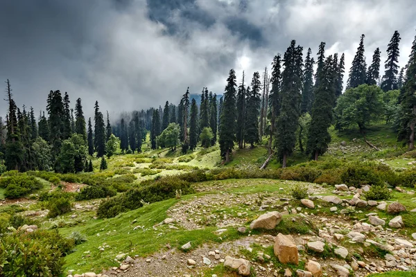 Percorso escursionistico con pietre in Himalaya con nuvole — Foto Stock