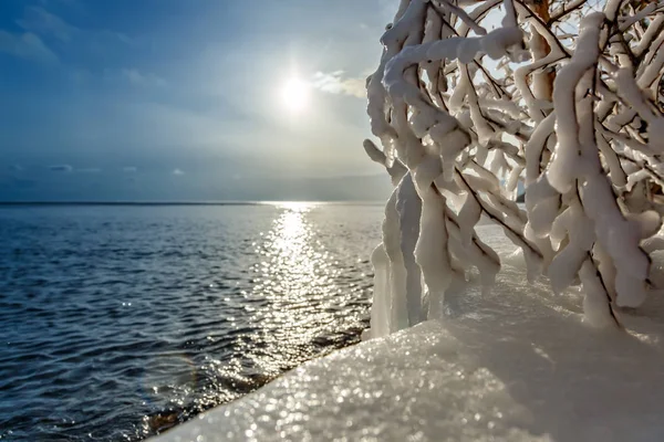 Takken van een boom bedekt met ijs bij Baikal Lake — Stockfoto