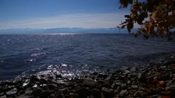 Lago di Baikal in settembre con montagne dietro e rami gialli di un albero durante giorno soleggiato — Video Stock