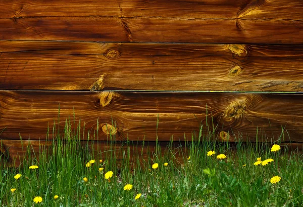 Bakgrund med bruna trärandig plankor och maskrosor — Stockfoto