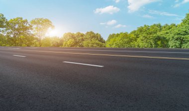 Yol ve Park Ormanı Landscap