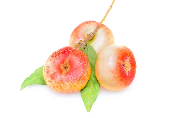 Peaches White Backgroun — Stock Photo, Image