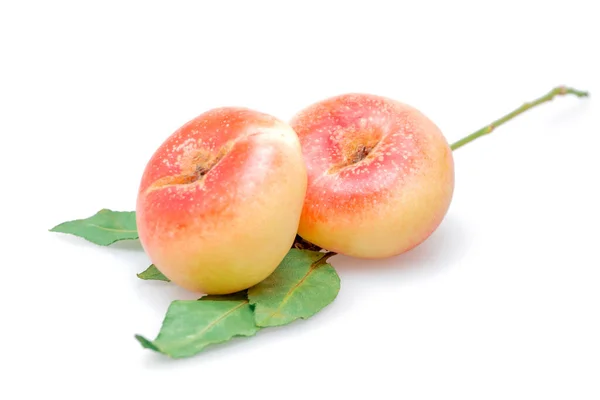 Персики Белой Спине — стоковое фото