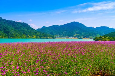 The beautiful landscape of Qiandao Lake clipart