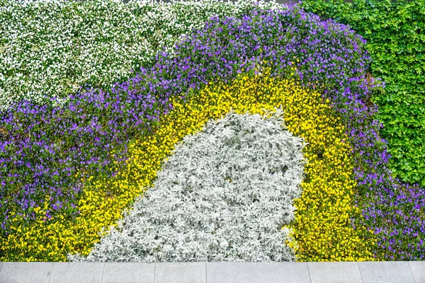 Colorido Canteiro Flores Parque China Fotos De Bancos De Imagens