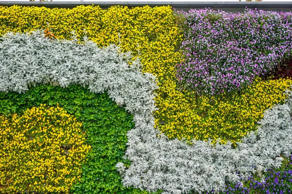 中国の公園でカラフルな花壇 — ストック写真