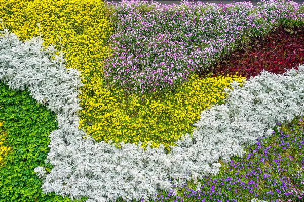中国の公園でカラフルな花壇 — ストック写真