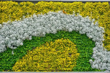 Colorful flowerbed in park of China clipart