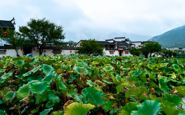 Hongcun Ókori Város Anhui Kína — Stock Fotó