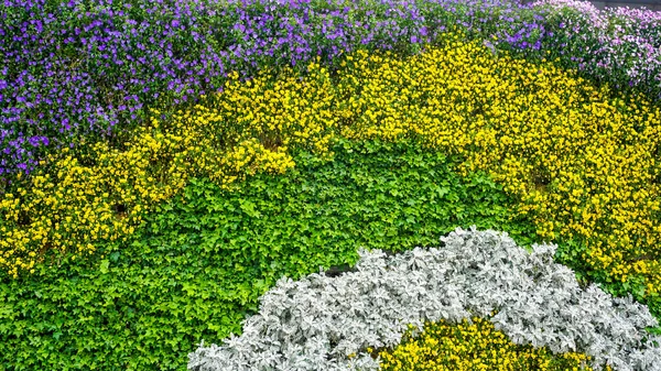 Colorful Flowerbed Park China — Stock Photo, Image