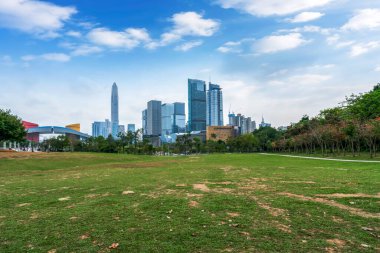 Park Çayırı ve Şehir Mimarisi Skylin