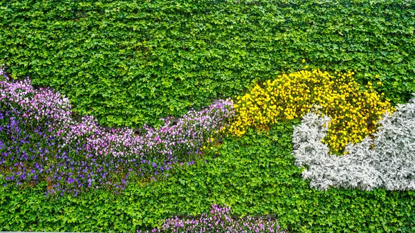 中国の公園でカラフルな花壇 — ストック写真