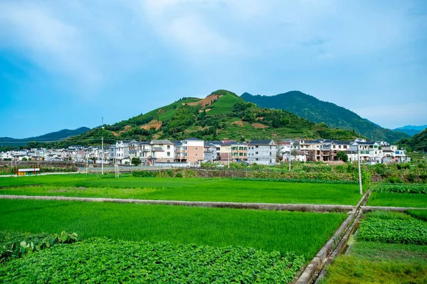 杭州の強島湖の美しい風景 — ストック写真