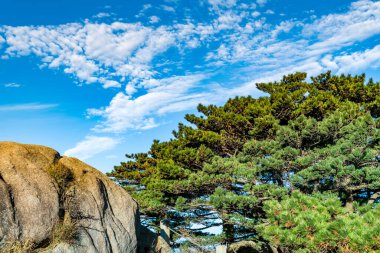 Huangshan Dağı 'nın güzel doğal manzarası.