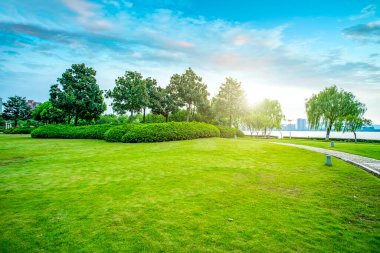 Şehir parkı çayır öncüleri