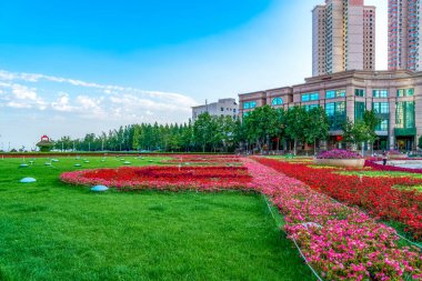 Qingdao 'daki kentsel mimari manzara