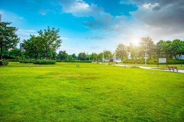 Şehir parkı çayır öncüleri