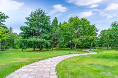 Parktaki yeşil orman