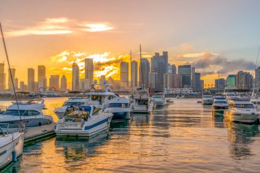 Qingdao Körfezi yat iskelesi ve şehir mimari manzarası.