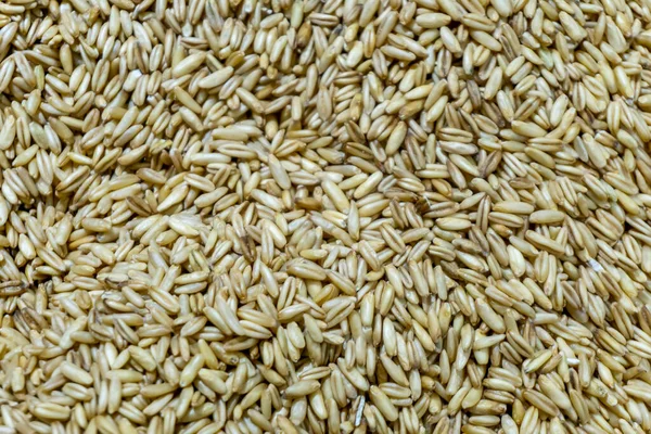 Зерно Зерно Китае — стоковое фото