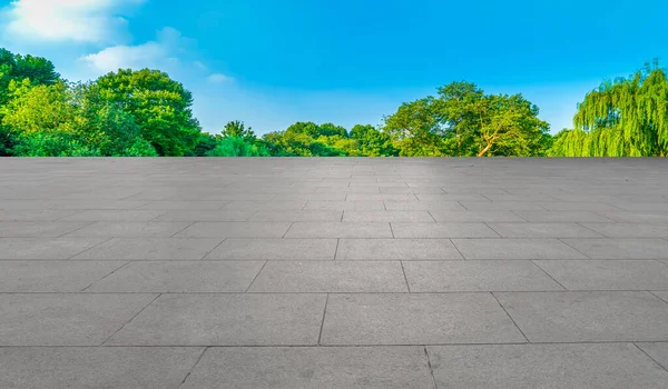 Tijolos Chão Vazio Plaza Bela Paisagem Natural — Fotografia de Stock