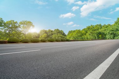 Yol ve Park Ormanı Landscap